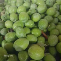 زیتون درجه یک مخصوص  شیرین کردن باقیمت  هرکیلو۶۰|خوردنی و آشامیدنی|زرین دشت (فارس), |دیوار