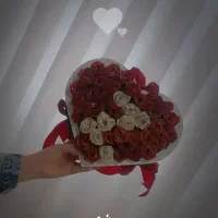 گل رز روبانی