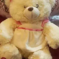 عروسک خرسی نو