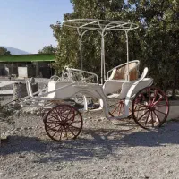 فروش کالسکه یادرشکه اسب