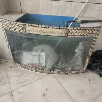 اکواریوم