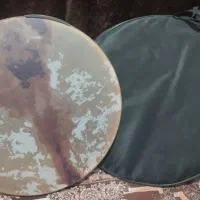 سازدف حبیبی