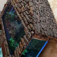 آکواریوم|ماهی|کرمانشاه, |دیوار