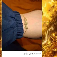 باگوشیت پول دربیار