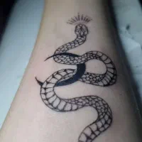 تتو بدن تخفیف ویژه|خدمات آرایشگری و زیبایی|تبریز, |دیوار