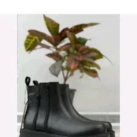 بوت زارا|کیف، کفش، کمربند|قم, باجک یک|دیوار