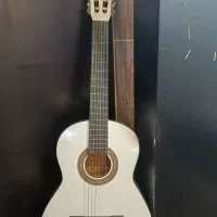 گیتارالماس ایرانی|گیتار، بیس، امپلیفایر|بندرعباس, |دیوار