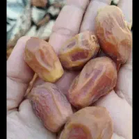 خرما از نخلستون خودمون|خوردنی و آشامیدنی|اهواز, دغاغله|دیوار