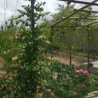 خانه-ویلایی-تقاب