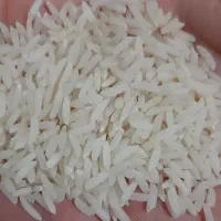 برنج هاشمی اصل مغان