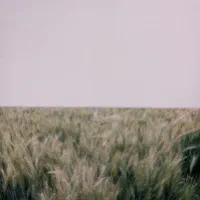 دوهکتار زمین کشاورزی در روستای قاضی آبادزیرجوی اب