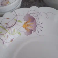 ظروف آرکوپال