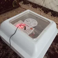 دستگاه جوجه کشی اسکندری