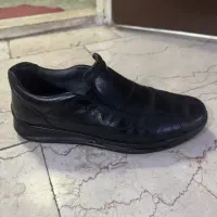 کفش فرزین
