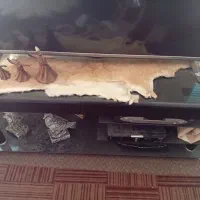 لوازم منزل|میز و صندلی غذاخوری|مرودشت, پشت سایپا|دیوار