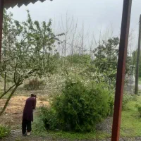 خونه روستایی ۵۶۰متری|فروش خانه و ویلا|رشت, دیلمان|دیوار