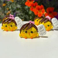 رو داشبوردی جوجه