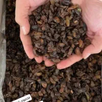 کشمش مویزآفتاب خشک|خوردنی و آشامیدنی|اهواز, زردشت|دیوار