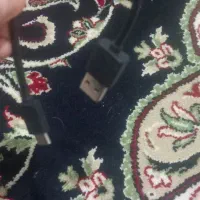 500000|لوازم جانبی حیوانات|ساری, |دیوار