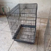 قفس پرنده|لوازم جانبی حیوانات|رشت, آزادگان|دیوار