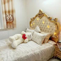 تشک رویا. مدیکال.طبی