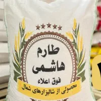 برنج کشت دوم فریدونکنار