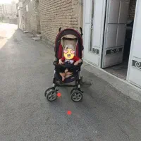 کالسکه عصایی