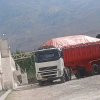کود مرغی زل مرغی