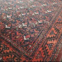 فرش کهنه سرتاسر زابل|فرش|خوی, |دیوار