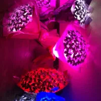 دسته گل پروانه و چراغدار