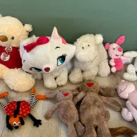 تعدادی عروسک تدی