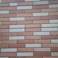 بنا، استاد کار