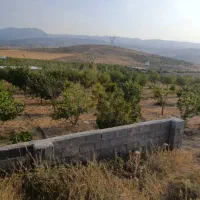 باغ شهر حسین آباد خان زنیان دشت ارژن|فروش زمین و ملک کلنگی|شیراز, شهرک جماران|دیوار