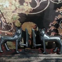 علامت شیر علم