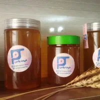عسل درمانی به قیمت کندودار