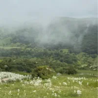 هم مسیر
