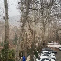 جذب نیروی کارگر در رستوران