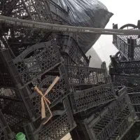 سبد انگور گوجه