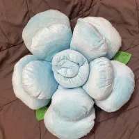 کوسن|صنایع دستی و سایر لوازم تزئینی|گلبهار, شهر جدید گلبهار|دیوار