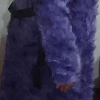 دوعددپالتو تمام خزدار