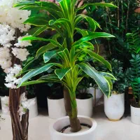 بورس درختچه های مصنوعی
