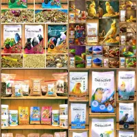 دان وملزومات پرندگان|لوازم جانبی حیوانات|بیجار, |دیوار