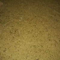 کودگوسفنددرجه یک محدوده شهر|خدمات باغبانی و درختکاری|رفسنجان, |دیوار