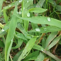 تعمیر ابگرمکن