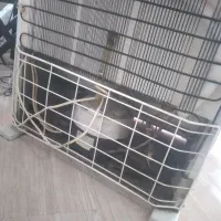 تعمیرات انواع یخچال ولوازم خانگی