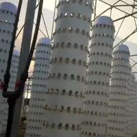 فروش گلخانه ی خاص اروپونیک با تراکم بالا|فروش دفتر صنعتی، کشاورزی، تجاری|نظرآباد, نجم آباد|دیوار