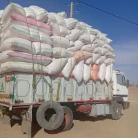 کاه گندم درجه 1دیمه