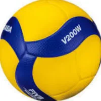 بازی والیبال بازیکن