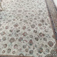 ۹ متری|فرش|مشهد, رضاشهر|دیوار