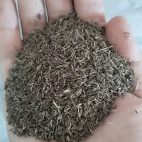 زیره کوه خبرـ دهسرد تمیز درشت